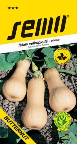 Tykev plazivá Liscia / Butternut konzervace