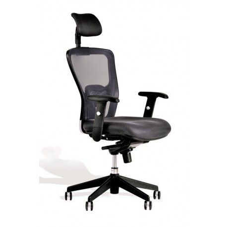 Office Pro Kancelářská židle DIKE Hlavová opěrka Bez hlavové opěrky Čalounění OFFICE PRO  DK 15 šedá