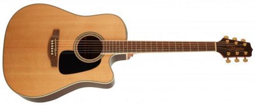 Takamine GD51CE-NAT