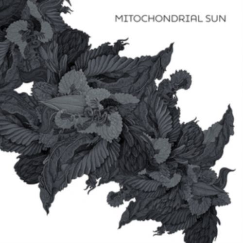 Mitochondrial Sun (Mitochondrial Sun) (CD / Album)