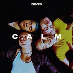 Calm - 5 Seconds Of Summer - audiokniha