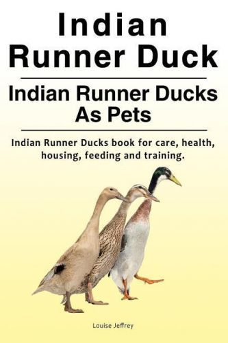Indian Runner Duck. Indian Runner Ducks as Pets. Indian Runner Ducks Book for Care, Health, Housing, Feeding and Training. (Jeffrey Louise)(Paperback)