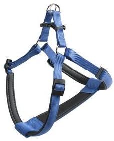 Postroj DAYTONA P modrý S