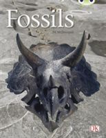 Fossils (Gold A) NF (McDougall Jill)(Paperback)
