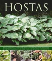 Hostas - an Illustrated Guide to Varieties, Cultivation and Care, with Step-by-step Instructions and More Than 130 Beautiful Photographs (Mikolajski Andrew)(Paperback)