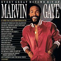 Marvin Gaye – Every Great Motown Hit Of Marvin Gaye MP3