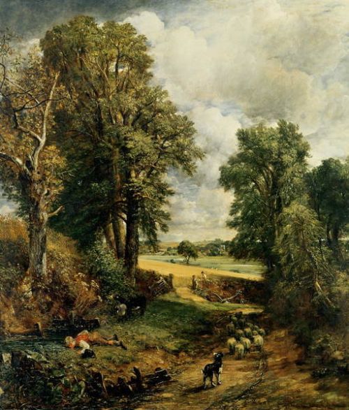 John Constable Obraz, Reprodukce - The Cornfield, 1826, John Constable