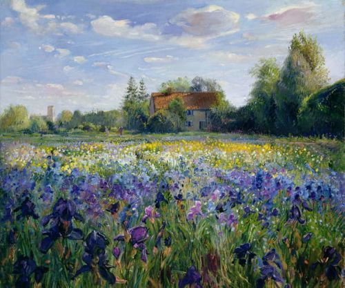 Timothy Easton Obraz, Reprodukce - Evening at the Iris Field, Timothy Easton