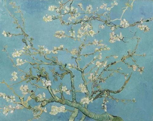 Vincent van Gogh Obraz, Reprodukce - Almond Blossom, 1890, Vincent van Gogh