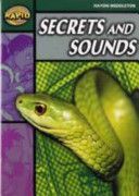 Rapid Stage 5 Set B: Secrets & Sounds (Series 2)(Paperback)