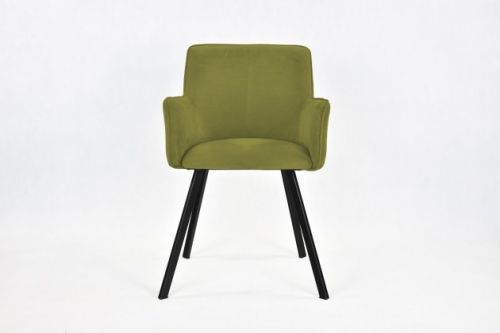 Jídelní židle Vian zelená, černá