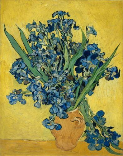 Vincent van Gogh Obraz, Reprodukce - Irises, 1890, Vincent van Gogh