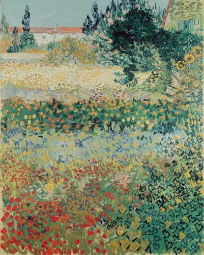 Vincent van Gogh Obraz, Reprodukce - Garden in Bloom, Arles, July 1888, Vincent van Gogh