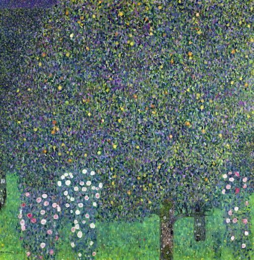 Gustav Klimt Obraz, Reprodukce - Roses under the Trees, c.1905, Gustav Klimt