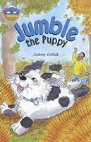Storyworlds Bridges Stage 12 Jumble the Puppy (single) (Lishak Antony)(Paperback / softback)