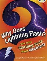 Why Does Lightning Flash? - And Other Startling Facts About Electricity (Royston Angela)(Paperback)