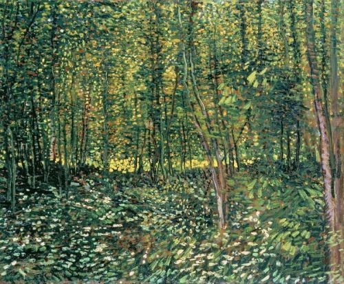 Vincent van Gogh Obraz, Reprodukce - Trees and Undergrowth, 1887, Vincent van Gogh