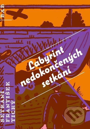 Labyrint nedokončených setkání - František Tichý