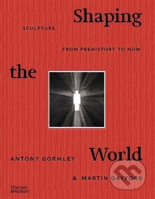 Shaping the World - Antony Gormley, Martin Gayford
