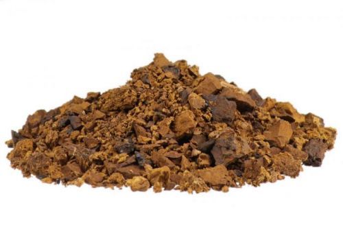 Profikoření - Houba Chaga - Rezavec šikmý (1kg)