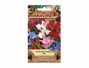 Nohelgarden Hrachor vonný pnoucí, směs 02319