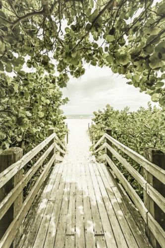 Melanie Viola Umělecká fotografie Bridge to the beach with mangroves | Vintage, Melanie Viola