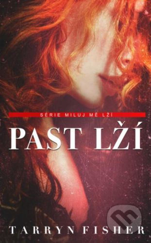 Past lží - Tarryn Fisher