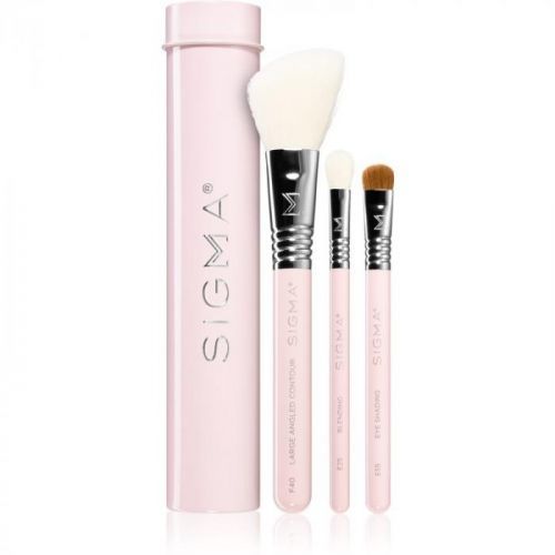 Sigma Beauty Essential Trio Brush Set sada štětců s pouzdrem III.