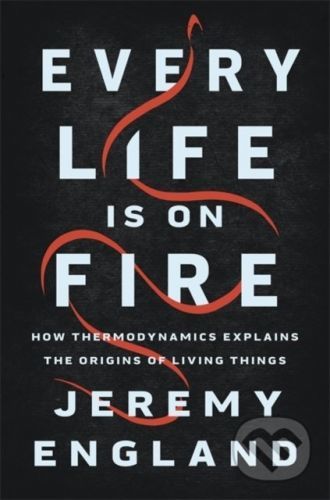 Every Life Is on Fire - Jeremy England