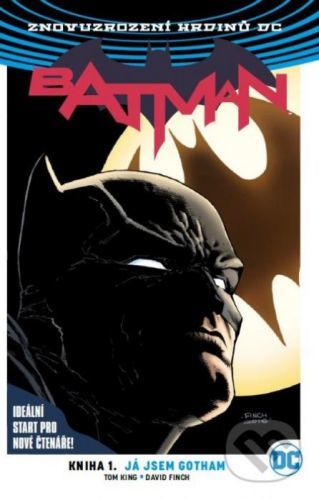 Batman 1: Já jsem Gotham - Tom King, David Finch (ilustrácie)