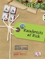 Globe Challenge: Rainforests at Risk (Hawes Alison)(Paperback / softback)
