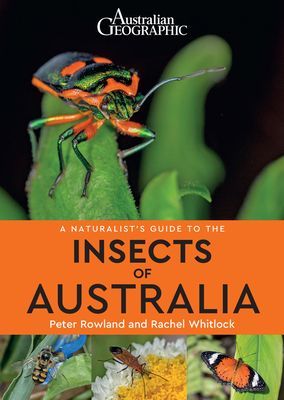 A Naturalist's Guide to the Insects of Australia (Rowland Peter)(Paperback / softback)