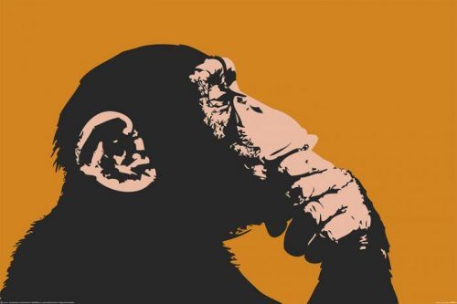 POSTERS Plakát, Obraz - Opice - Thinking, (91,5 x 61 cm)