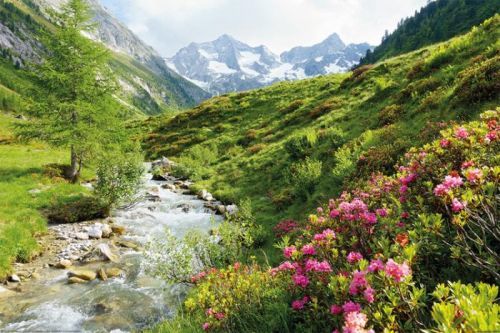 POSTERS Plakát, Obraz - Alpy - Nature and Mountains, (91,5 x 61 cm)