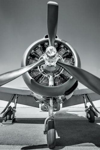 POSTERS Plakát, Obraz - Letadlo - Propeller, (61 x 91,5 cm)