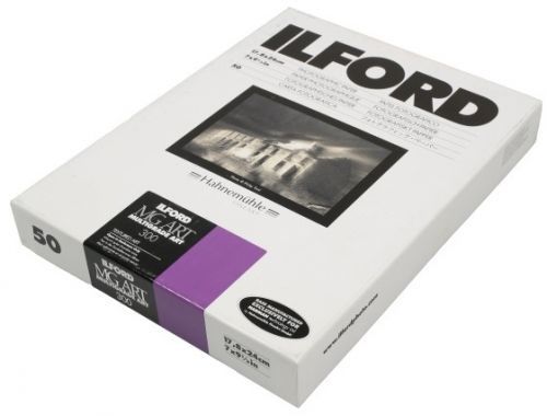 ILFORD MG ART 300 18x24/50