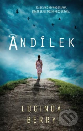 Andílek - Lucinda Berry