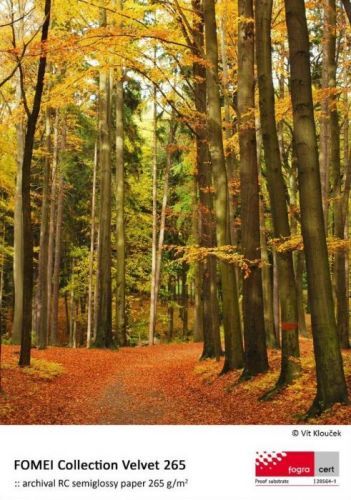 FOMEI Inkjet A4/25 Collection Velvet 265