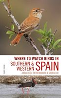 Where to Watch Birds in Southern and Western Spain - Andalucia, Extremadura and Gibraltar (Garcia Ernest)(Paperback / softback)