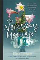 Necessary Marriage (Lodato Elisa)(Paperback / softback)