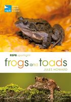 RSPB Spotlight Frogs and Toads (Howard Jules)(Paperback / softback)
