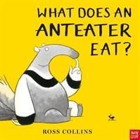 What Does An Anteater Eat? (Collins Ross)(Paperback / softback)