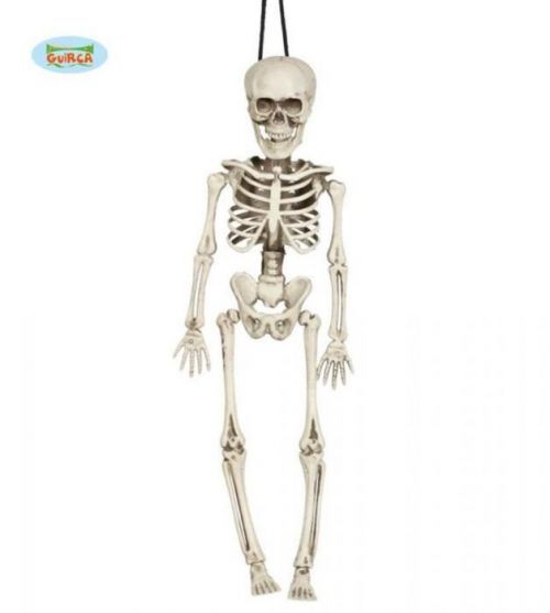 SKELETON - KOSTRA k zavěšení 40 cm - Halloween - GUIRCA