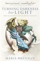 Turning Darkness into Light - A Natural History of Dragons book (Brennan Marie)(Paperback / softback)