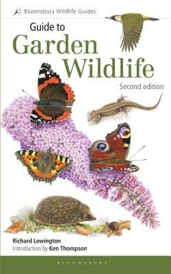 Guide to Garden Wildlife 2nd edition (Lewington Richard)(Paperback / softback)