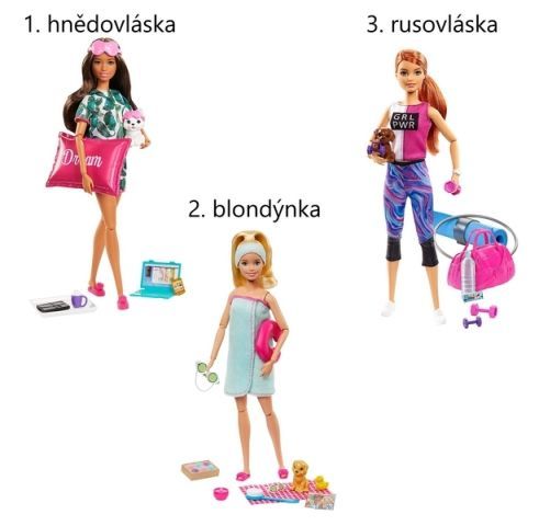 Barbie wellness panenka