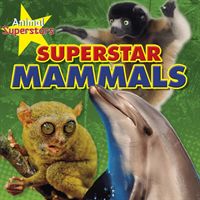 Mammal Superstars (Spilsbury Louise)(Paperback / softback)