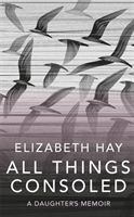 All Things Consoled (Hay Elizabeth)(Pevná vazba)