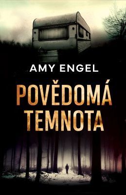 Povědomá temnota - Amy Engel - e-kniha