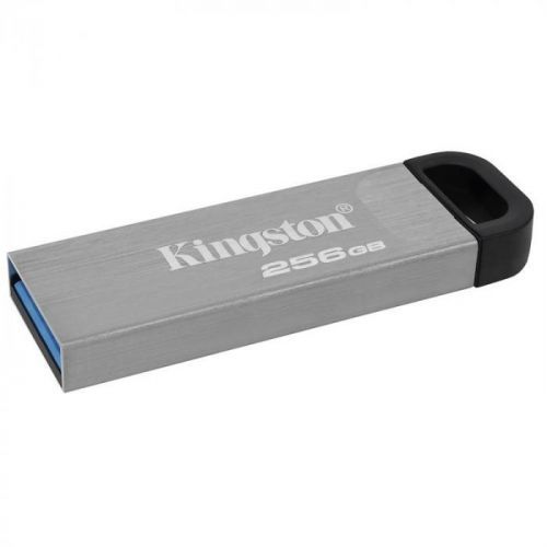 Kingston DataTraveler Kyson 256GB stříbrný (DTKN/256G)